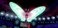 Image result for gigantamax butterfree